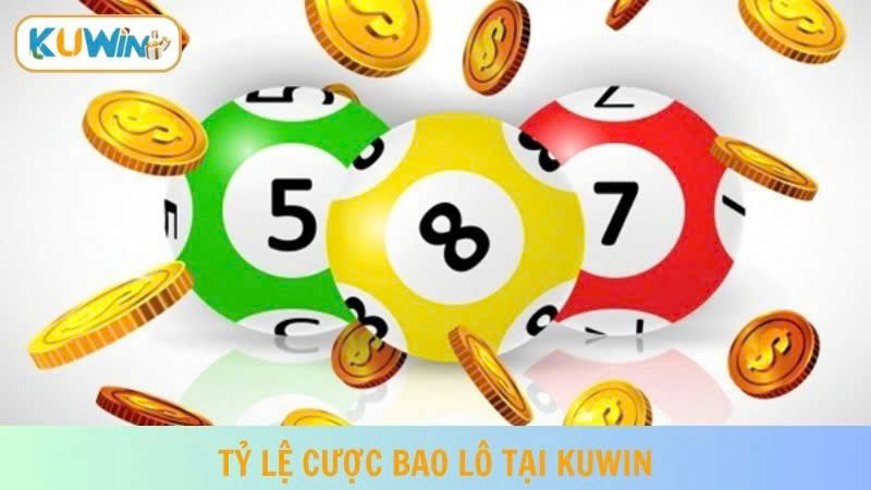 Kuwin là đơn vị có tỷ lệ cược bao lô cao trên thị trường